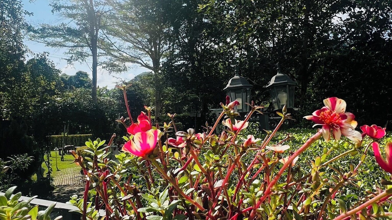 Photo of Outdoor in Hang Dong