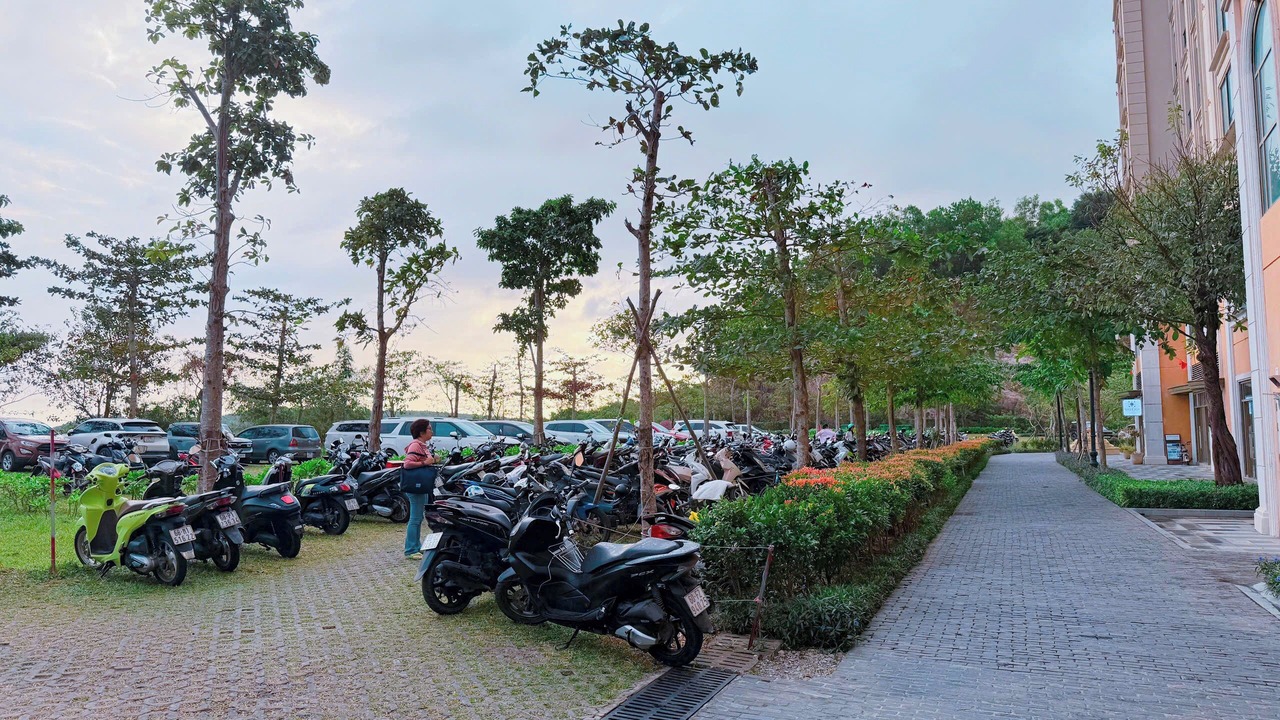 Photo of Outdoor in Duong Dong