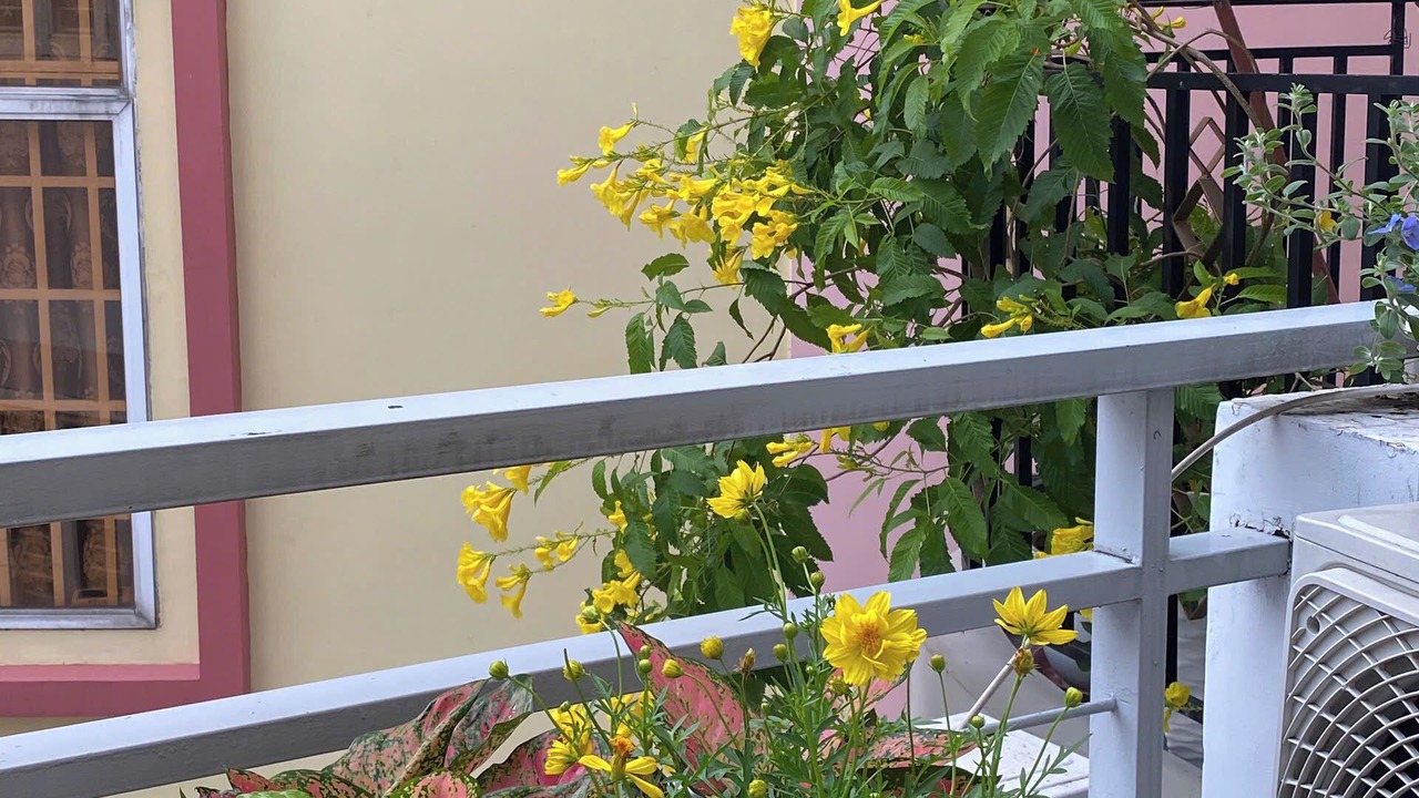 Photo of Outdoor in Bach Dang Riverside