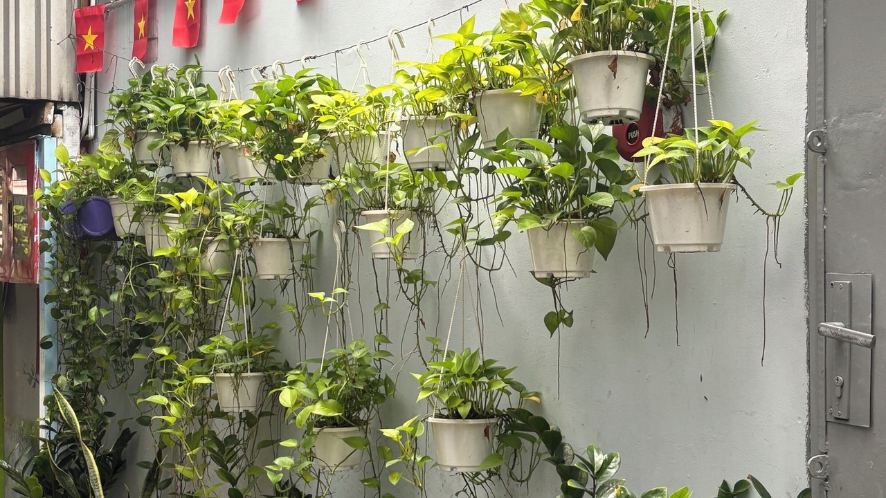 Photo of Outdoor in Ben Thanh