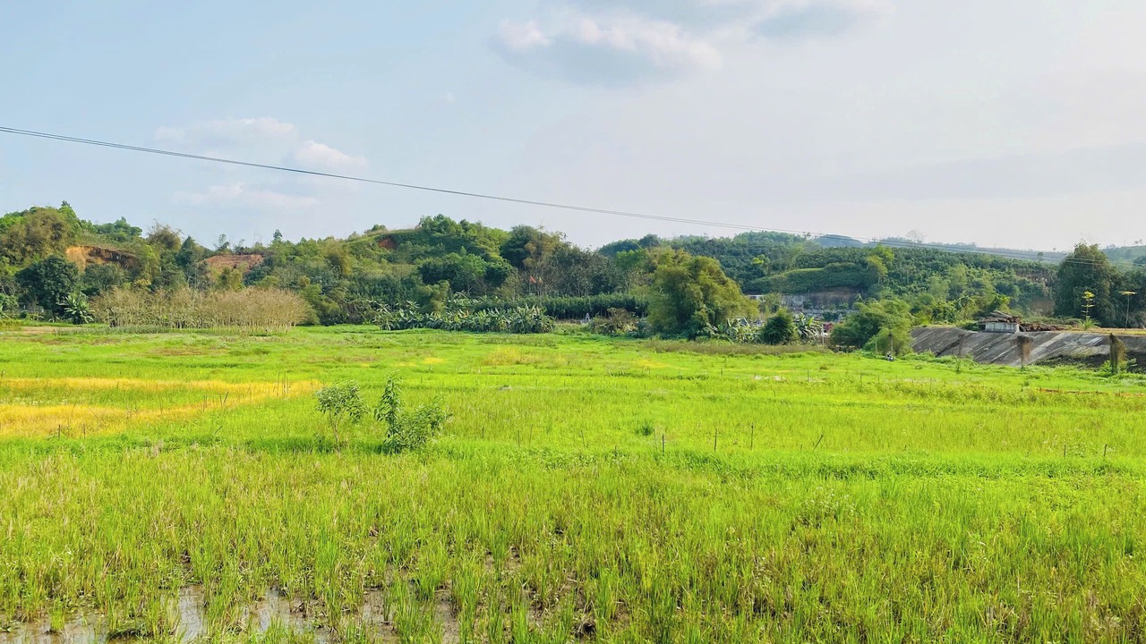 Photo of Others in Lao Cai
