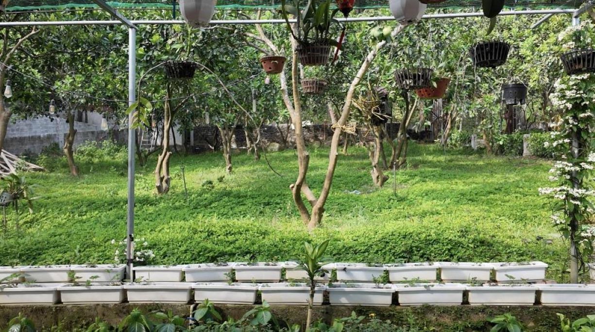 Photo of Outdoor in Son Tay