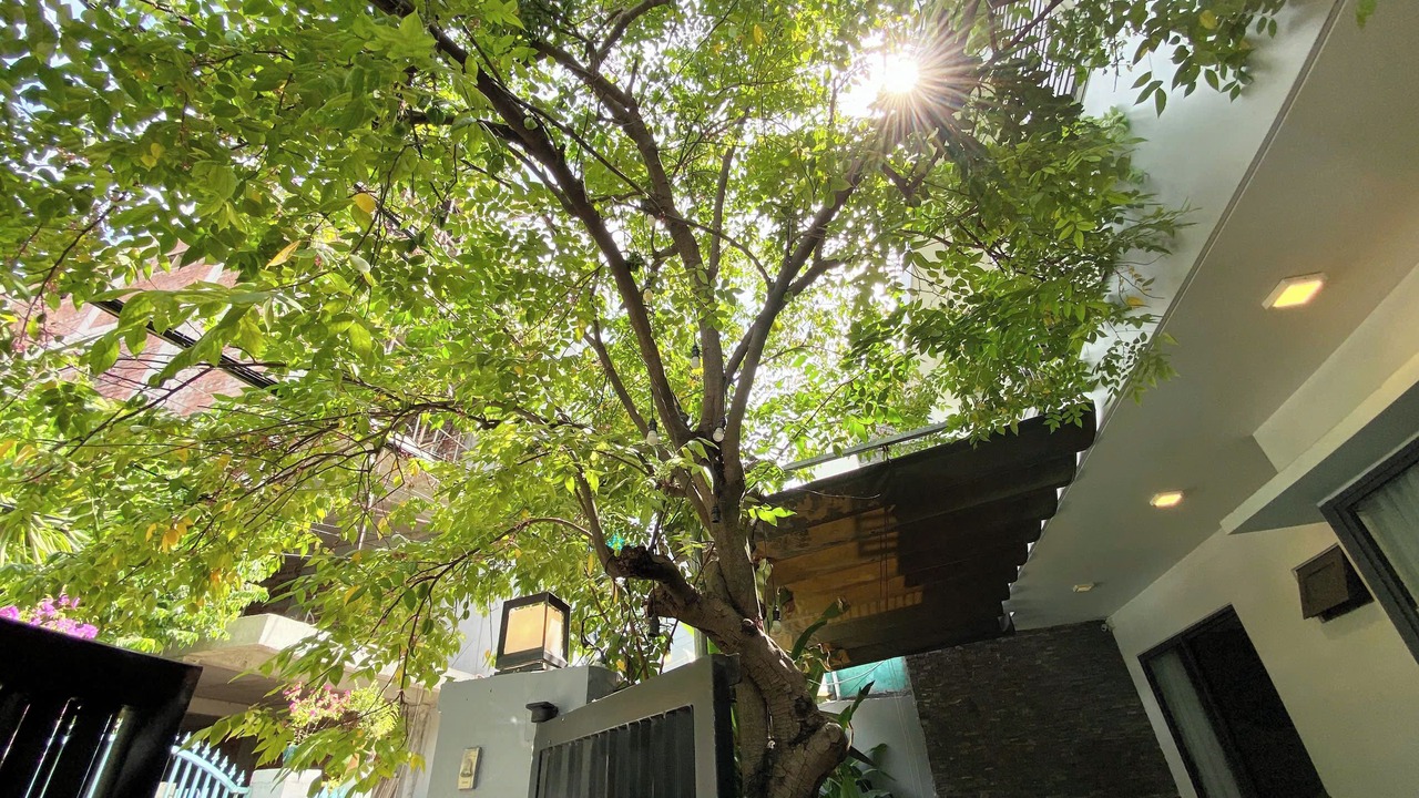 Photo of Outdoor in An Hai Đong