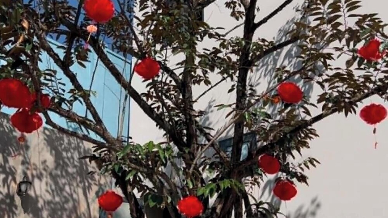 Photo of Outdoor in Long Thanh