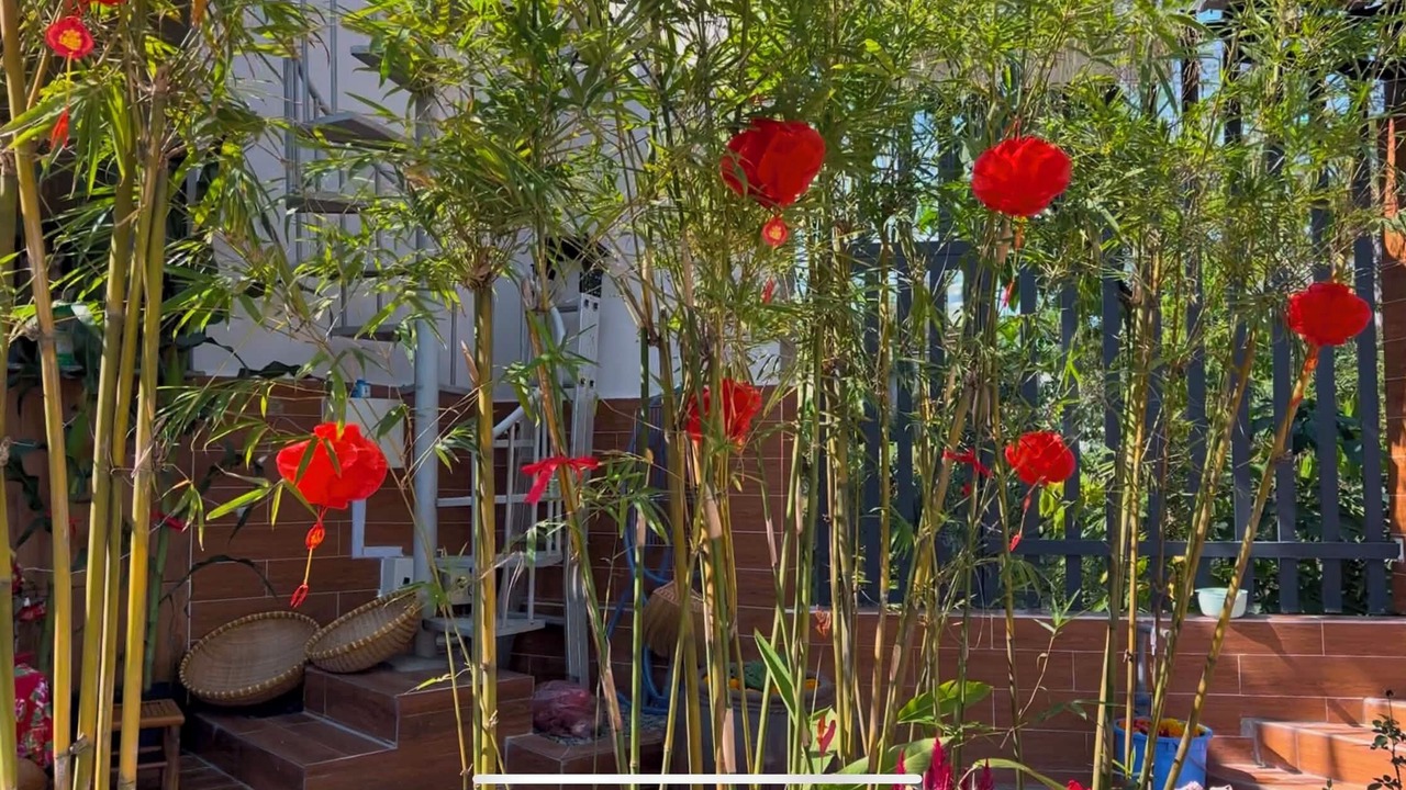 Photo of Outdoor in Long Thanh