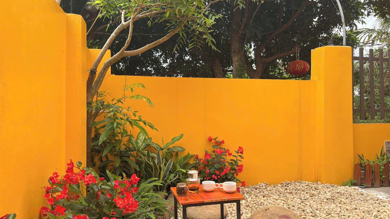 Photo of Outdoor in Ninh Binh