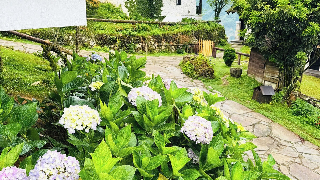 Photo of Outdoor in Sa Pa