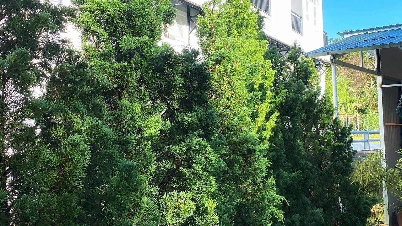 Photo of Outdoor in French Quarter