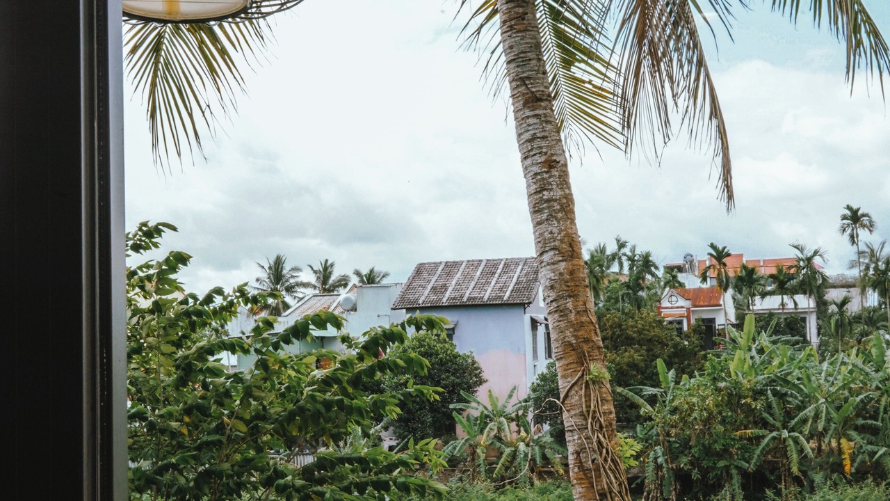 Photo of Others in Hoi An