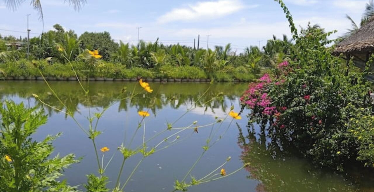 Photo of Outdoor in Cam Thanh