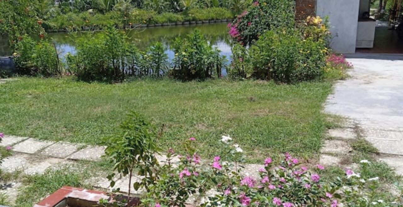 Photo of Outdoor in Cam Thanh