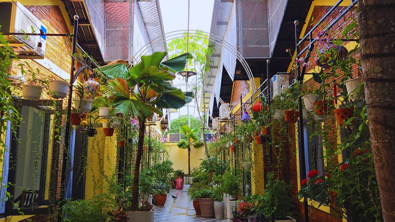 Photo of Outdoor in Duong Dong