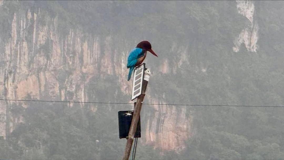 Photo of Others in Downtown Krabi