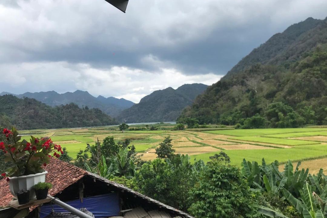 Photo of Others in Nam Mau