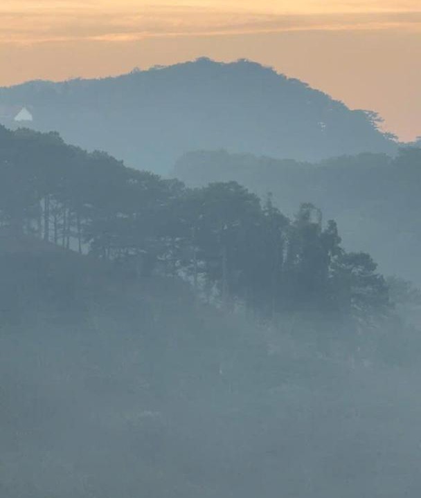 Photo of Others in Da Lat