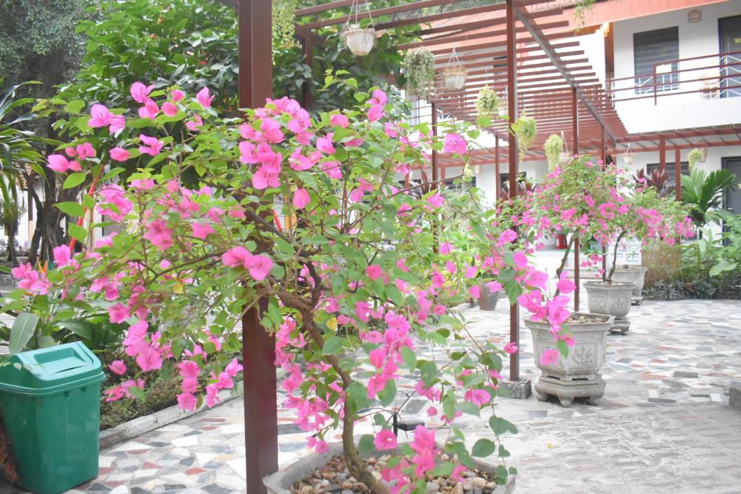 Photo of Others in Hoa Lu