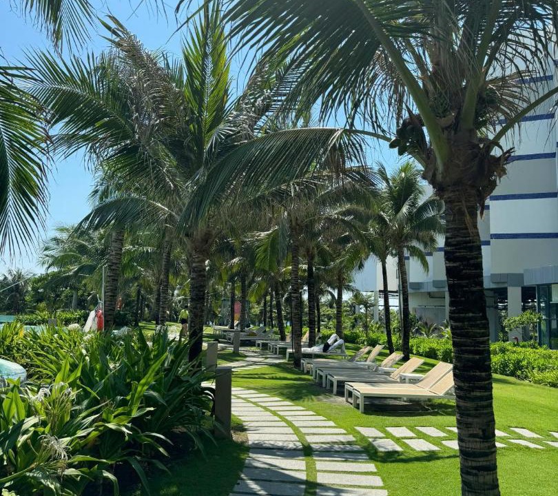 Photo of Others in Khanh Hoa