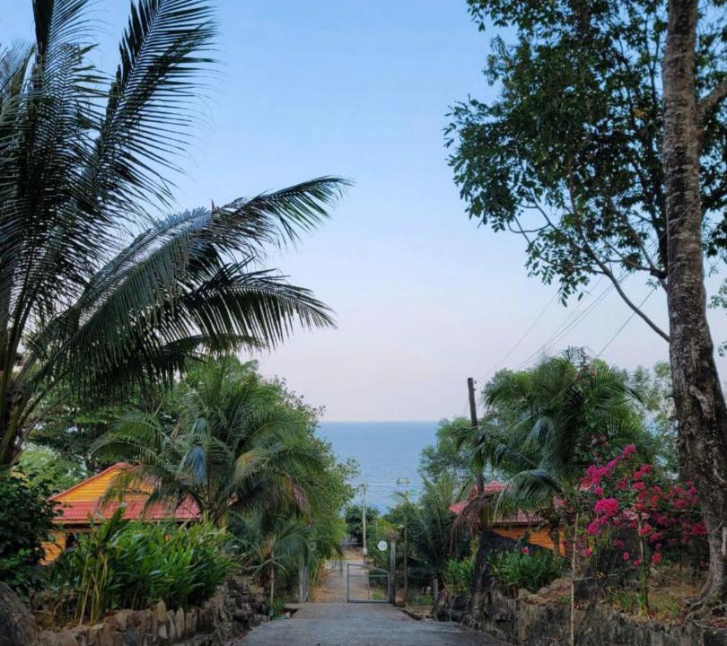 Photo of Others in Ham Ninh