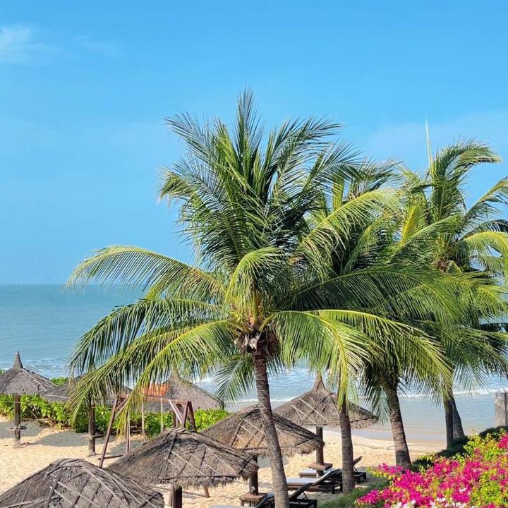 Photo of Others in Phu Hai Beach