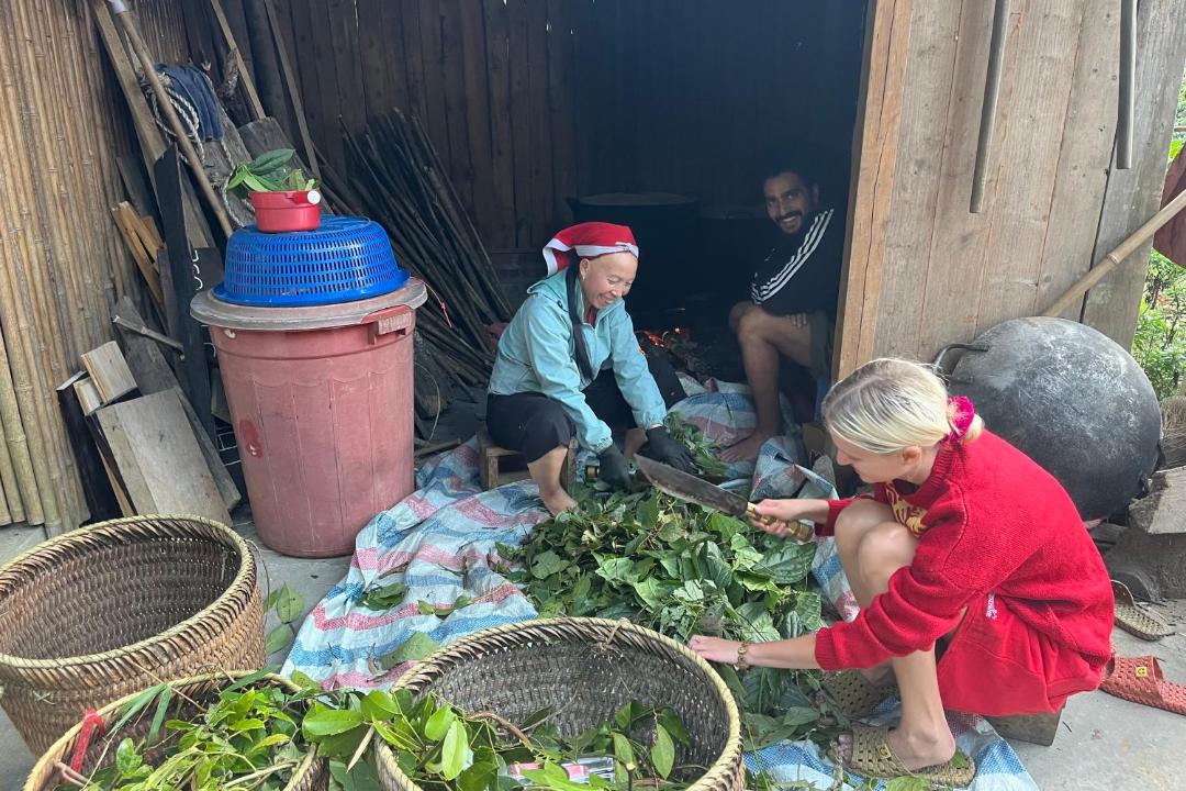 Photo of Others in Sa Pa