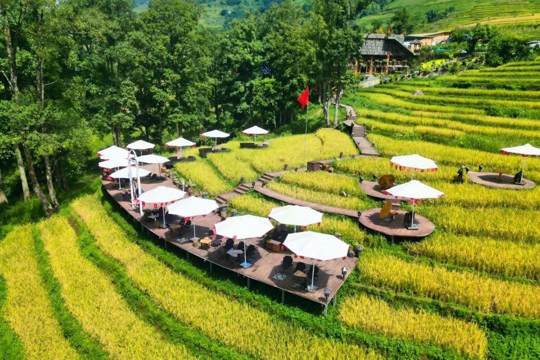 Photo of Others in Hau Thao