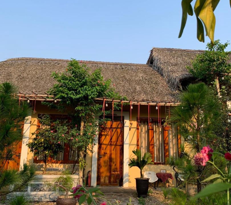 Photo of Others in Thuy Xuan