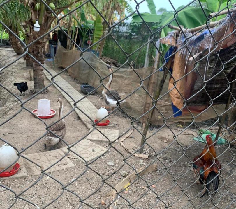 Photo of Others in Cu Chi