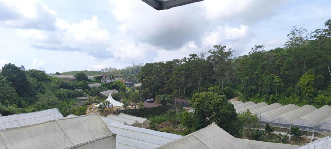 Photo of Others in Da Lat