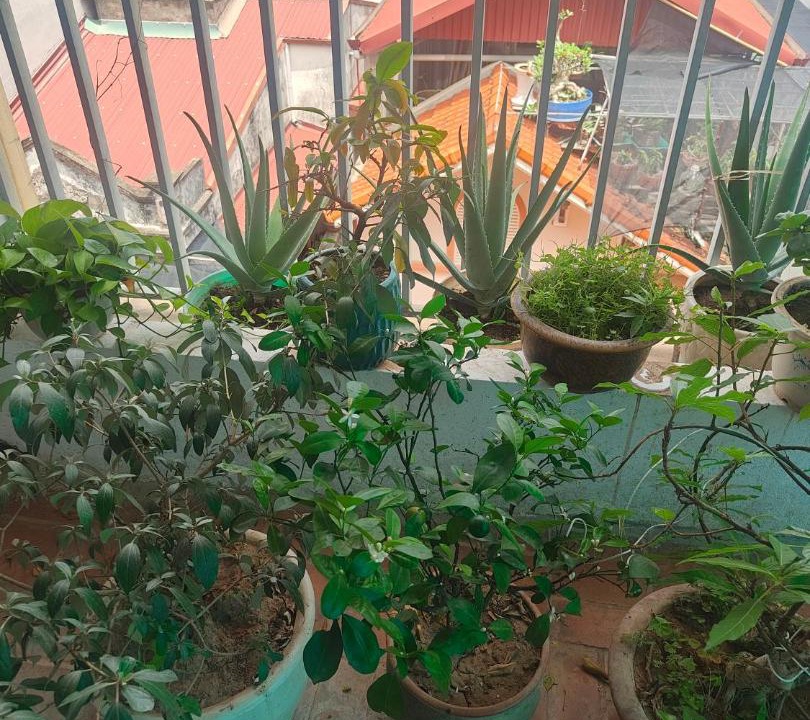 Photo of Patio Balcony in Hanoi