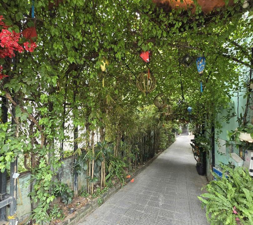 Photo of Outdoor in Nhat Tan