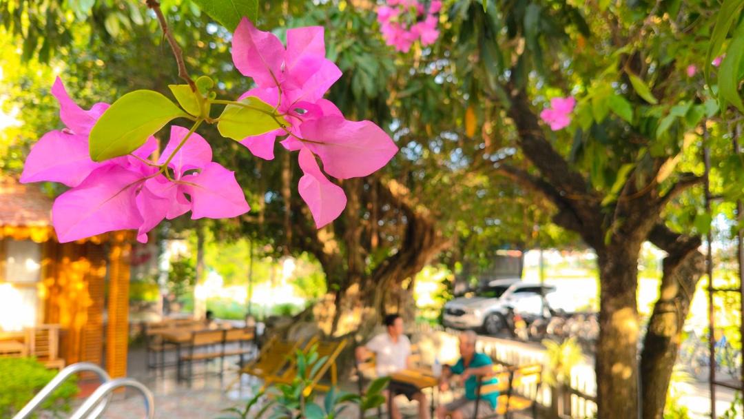 Photo of Others in Hoa Lu