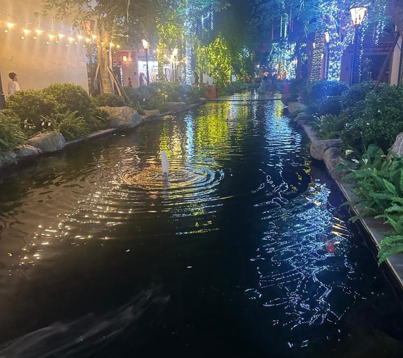 Photo of Others in Thanh Thuy