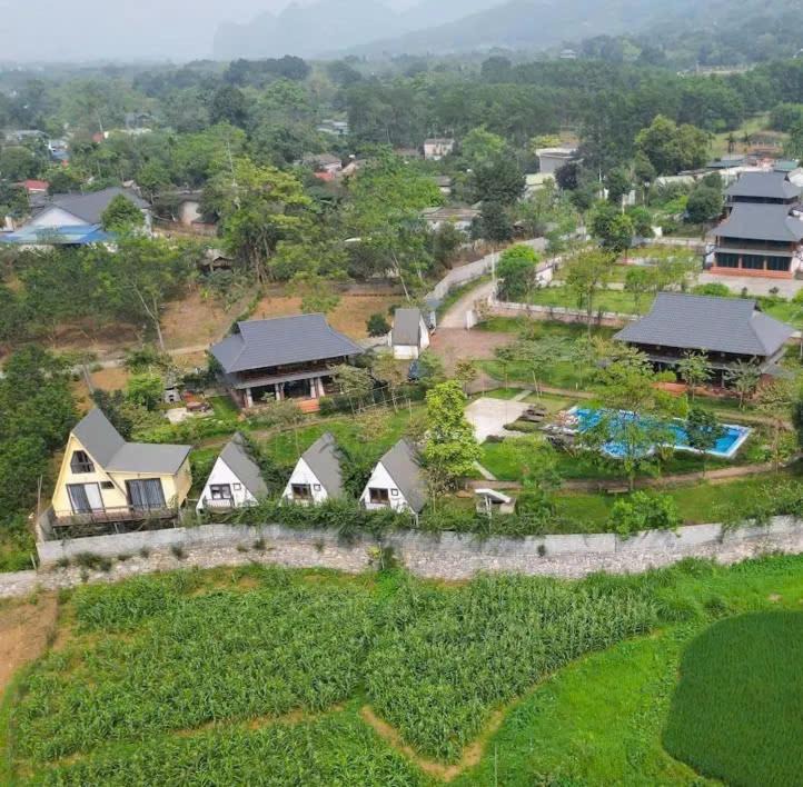 Photo of Others in Vinh Yen