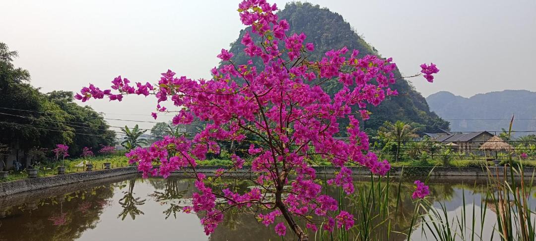 Photo of Others in Hoa Lu
