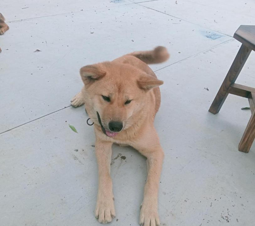 Photo of Others in Sa Pa