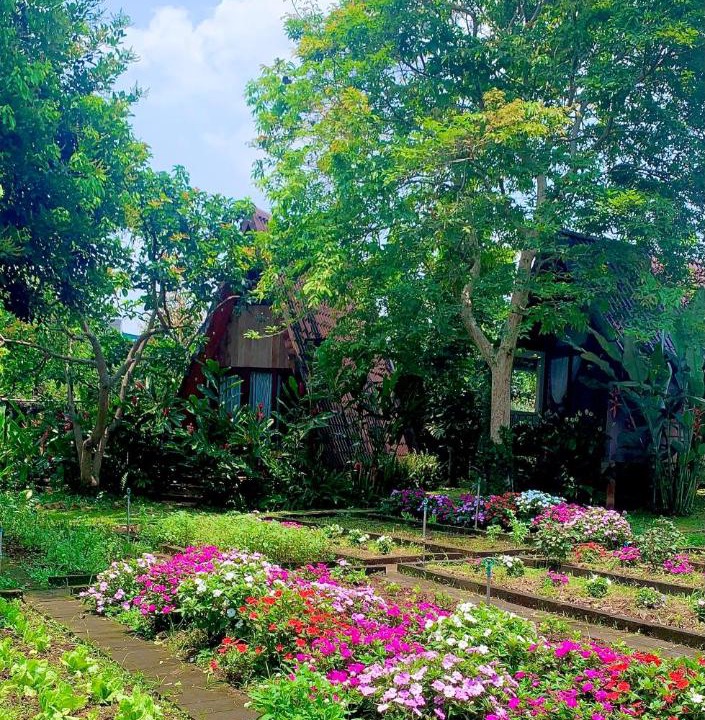 Photo of Outdoor in Buon Ma Thuot