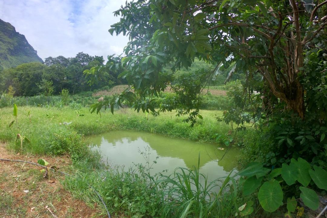 Photo of Outdoor in Yen Minh