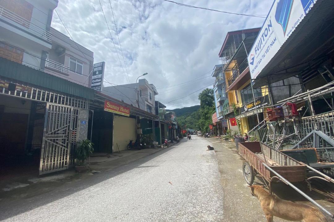 Photo of Others in Bao Lac