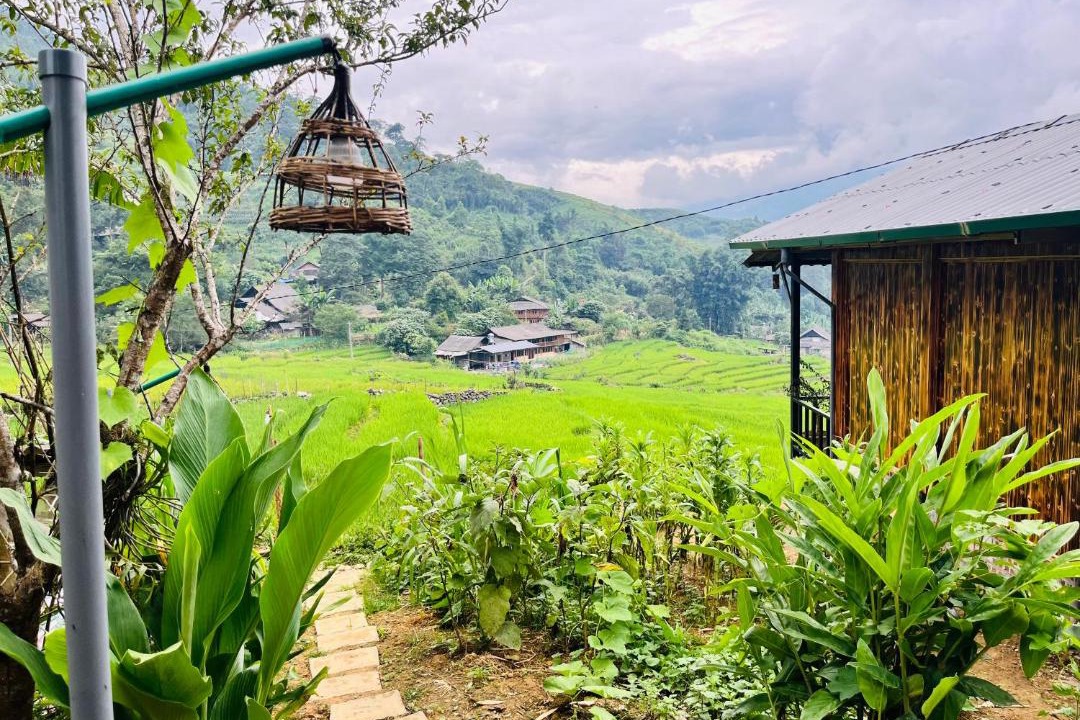 Photo of Others in Sa Pa