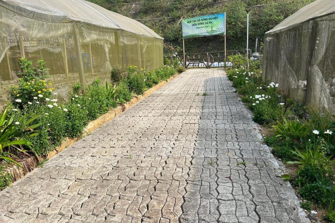 Photo of Outdoor in Sa Pa
