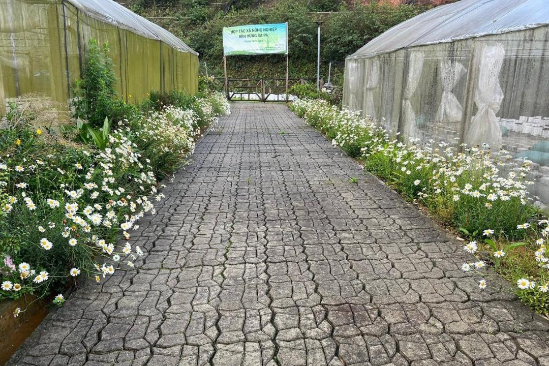 Photo of Outdoor in Sa Pa