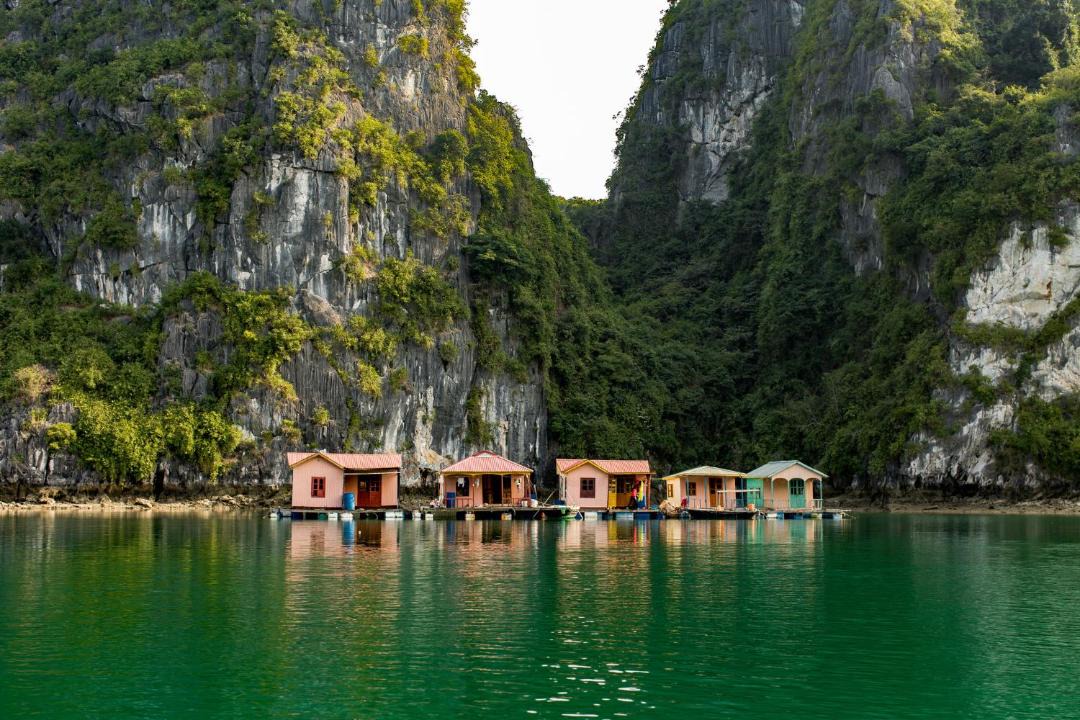 Photo of Others in Ha Long