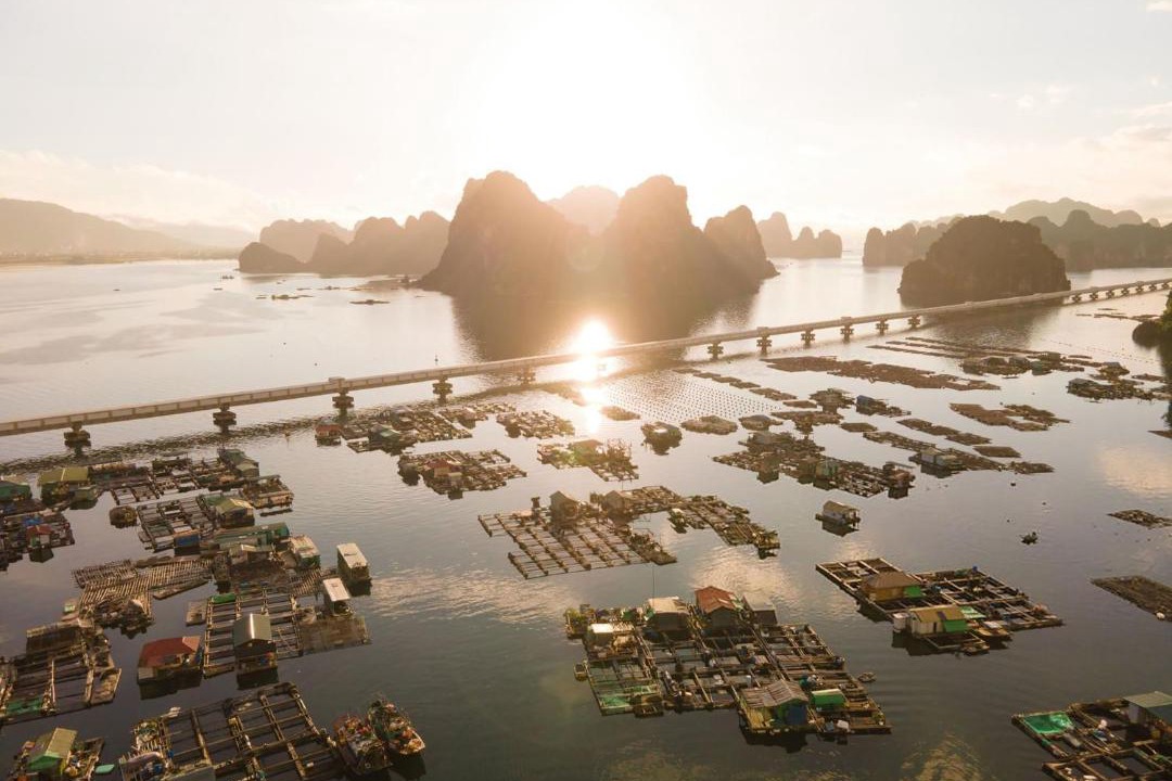 Photo of Others in Ha Long