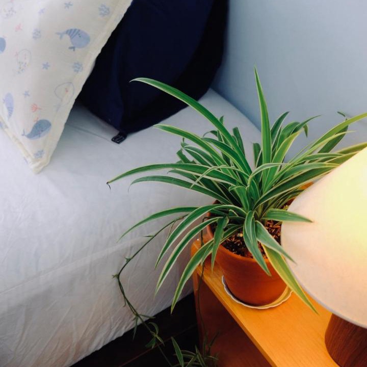 Photo of Bedroom in Quy Nhon