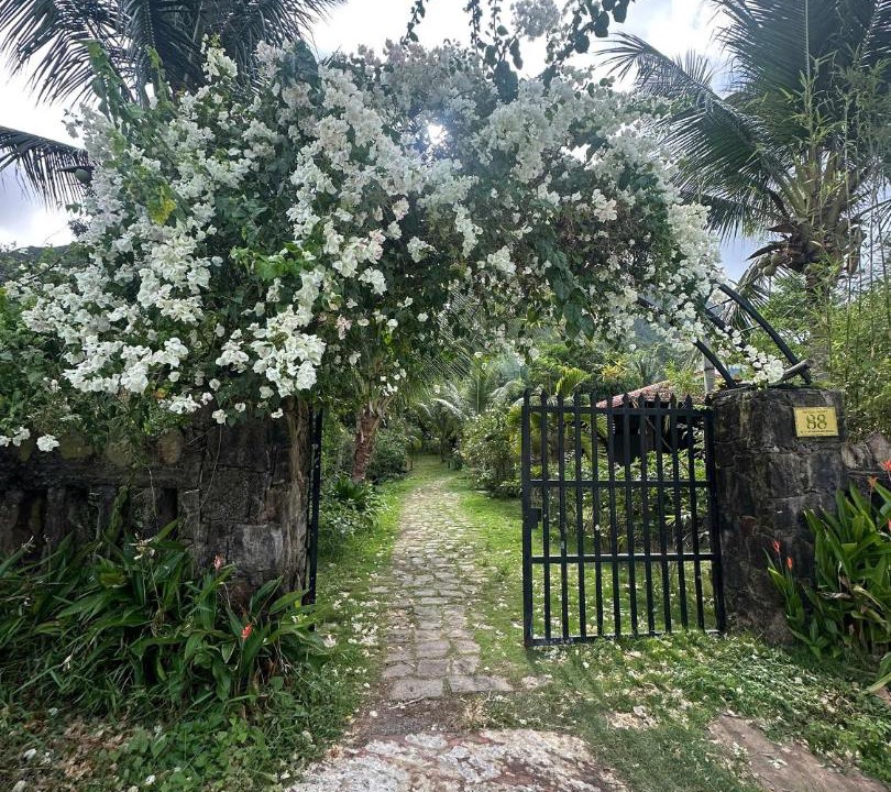 Photo of Others in Ham Ninh