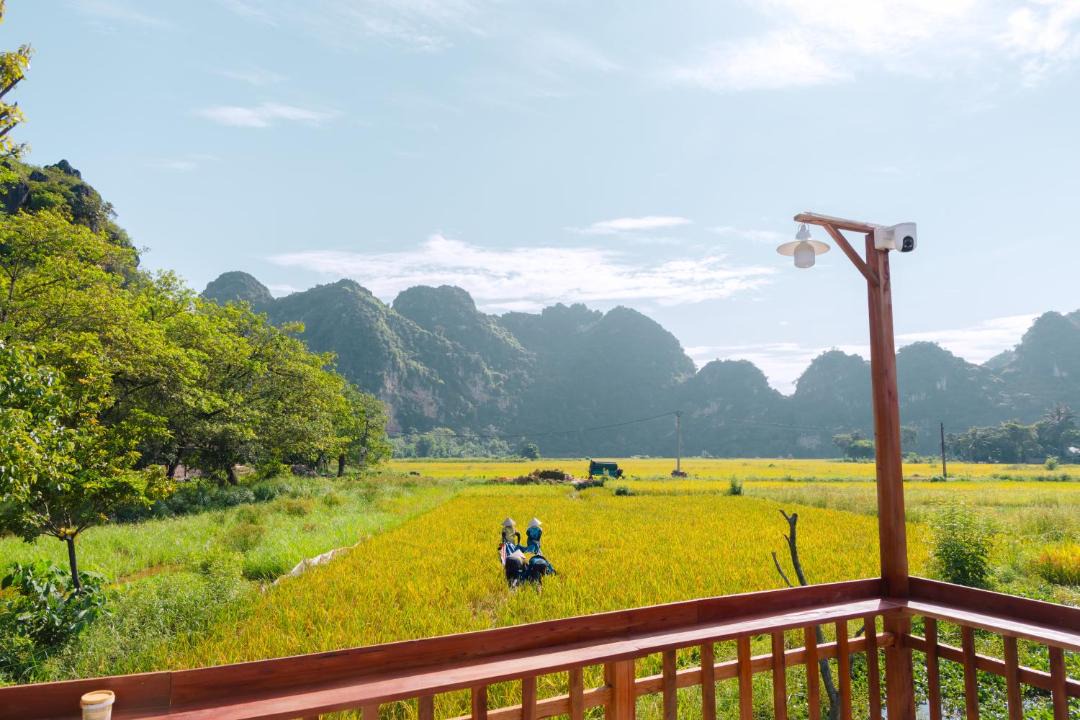 Photo of Others in Hoa Lu