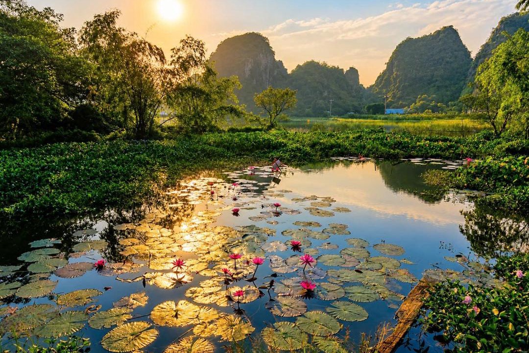 Photo of Others in Hoa Lu