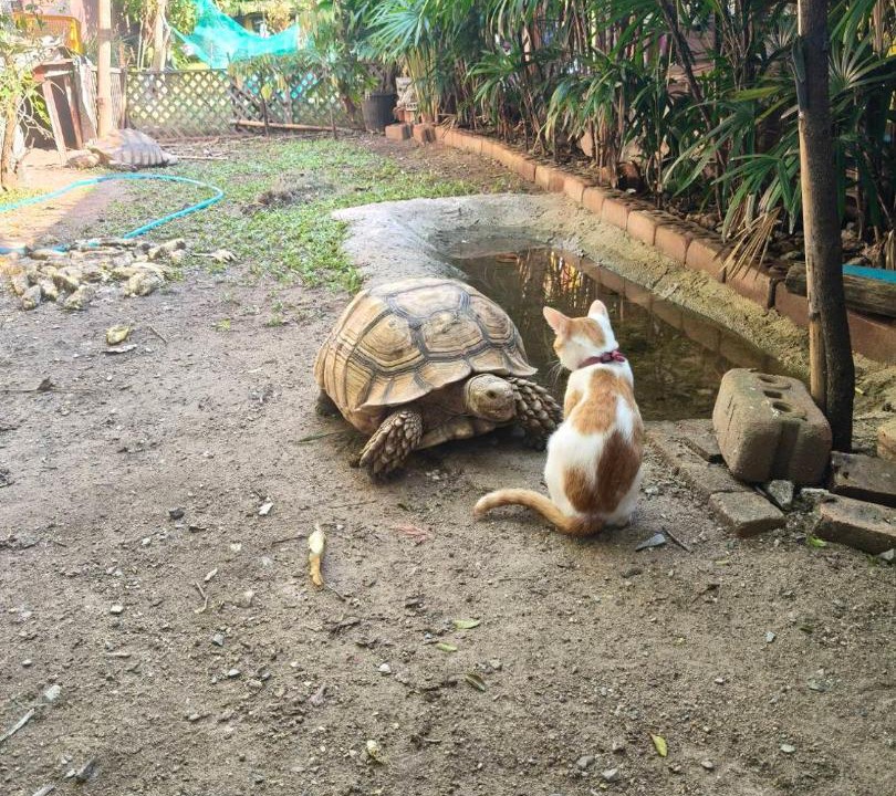 Photo of Others in Mueang Kao