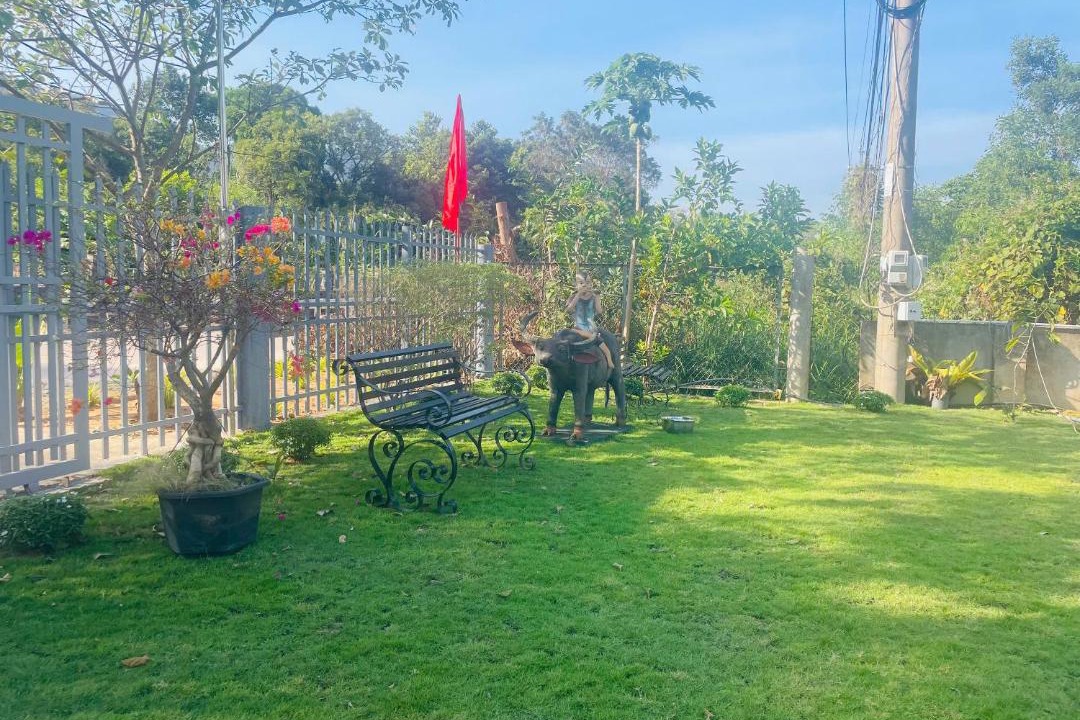 Photo of Outdoor in Mang Yang