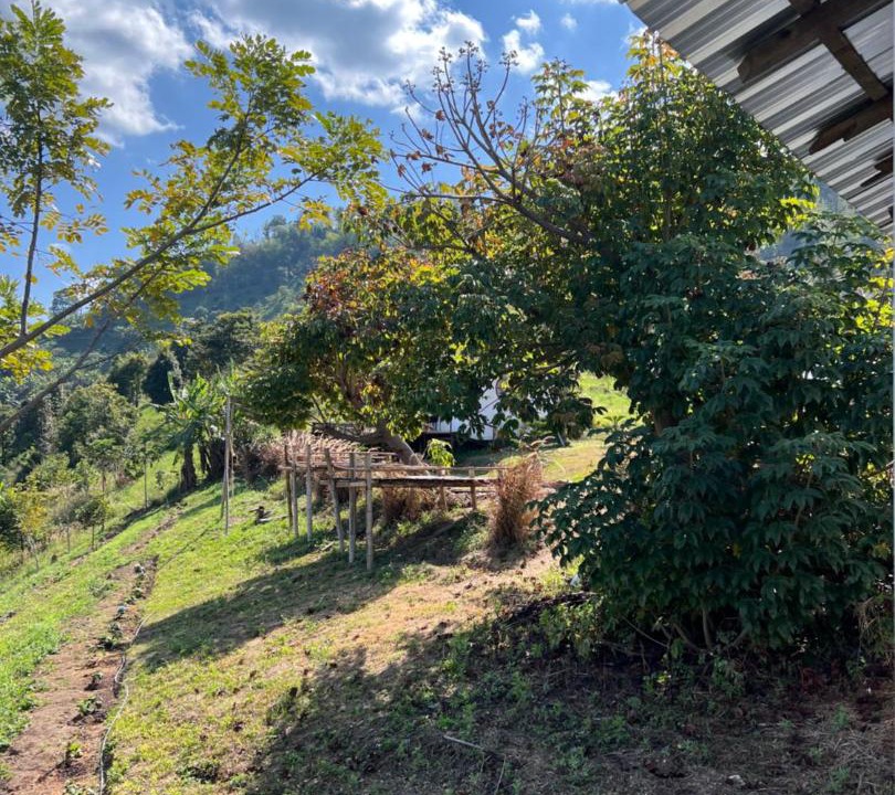Photo of Others in Chiang Rai Province